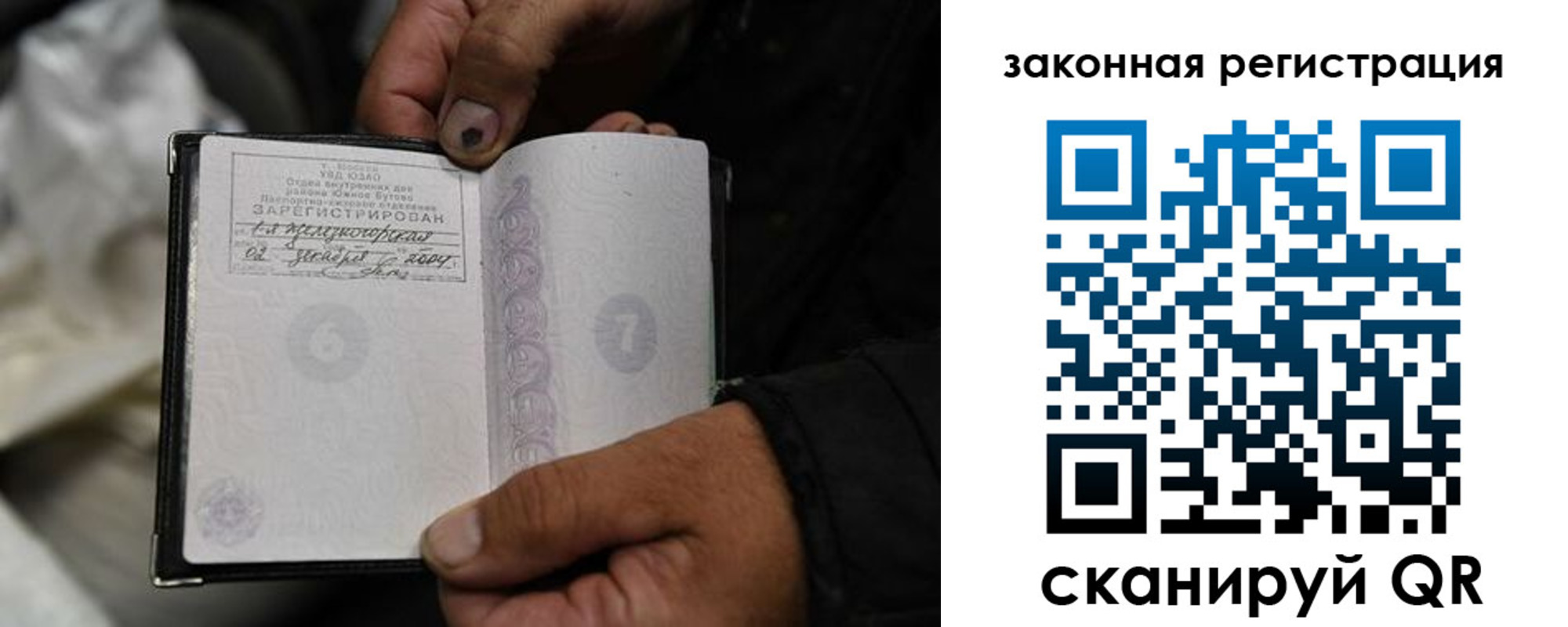 прописка в Александровске